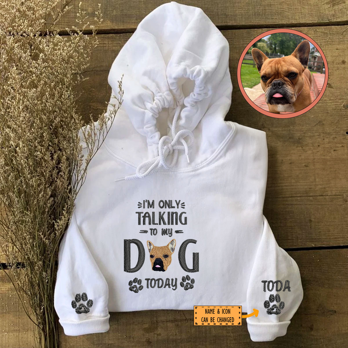 Custom Full-Color I'm Only Talking To My Dog Today Embroidered Hoodie