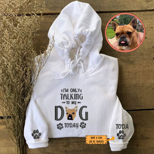 Custom Full-Color I'm Only Talking To My Dog Today Embroidered Hoodie