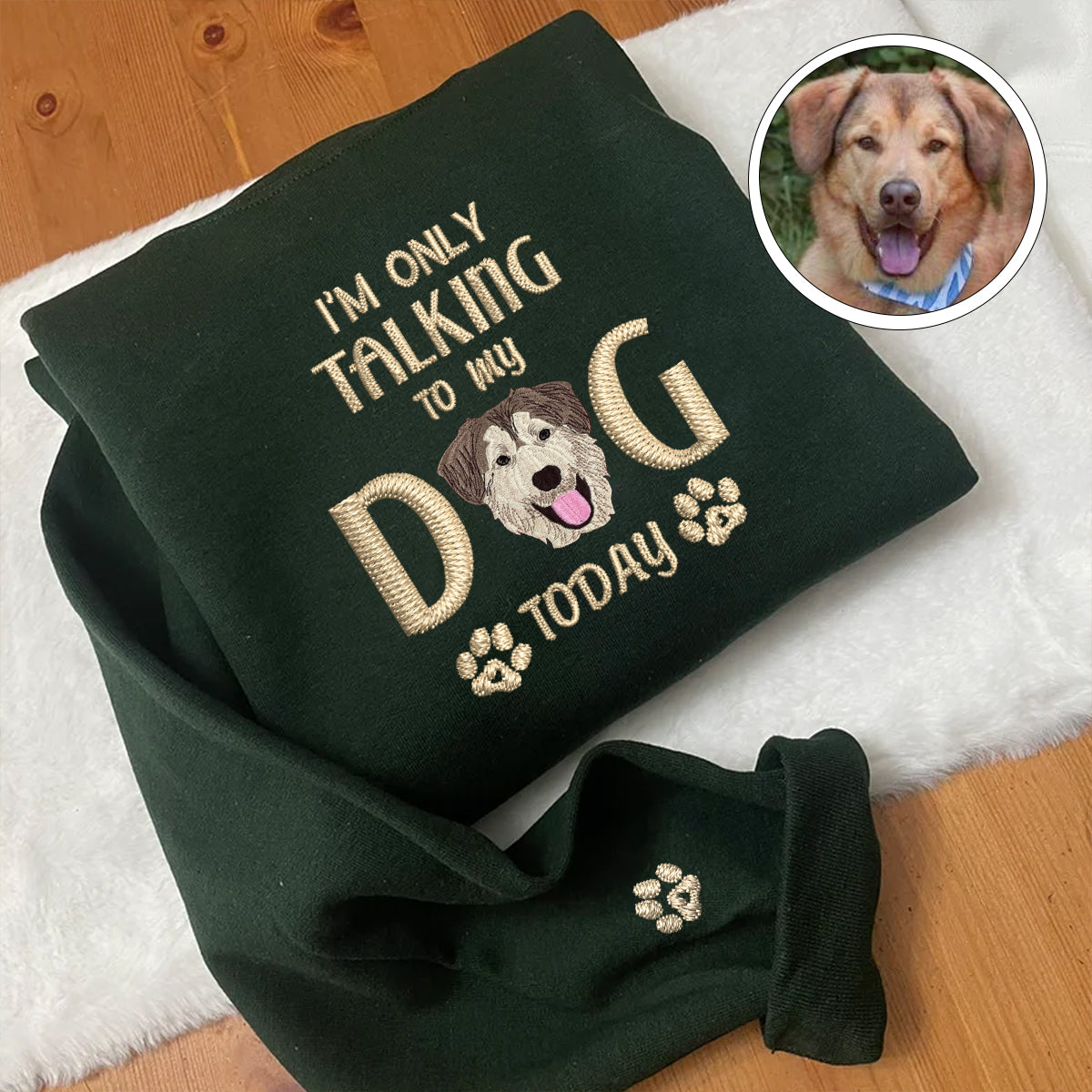 Custom Full-Color I'm Only Talking To My Dog Today Embroidered Hoodie