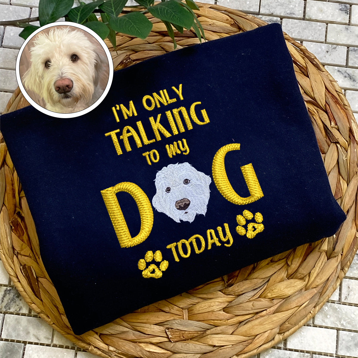 Custom Full-Color I'm Only Talking To My Dog Today Embroidered Hoodie