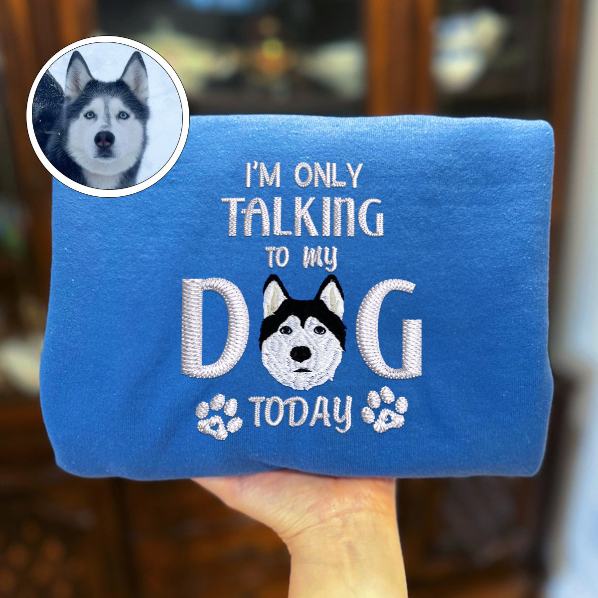 Custom Full-Color I'm Only Talking To My Dog Today Embroidered Hoodie