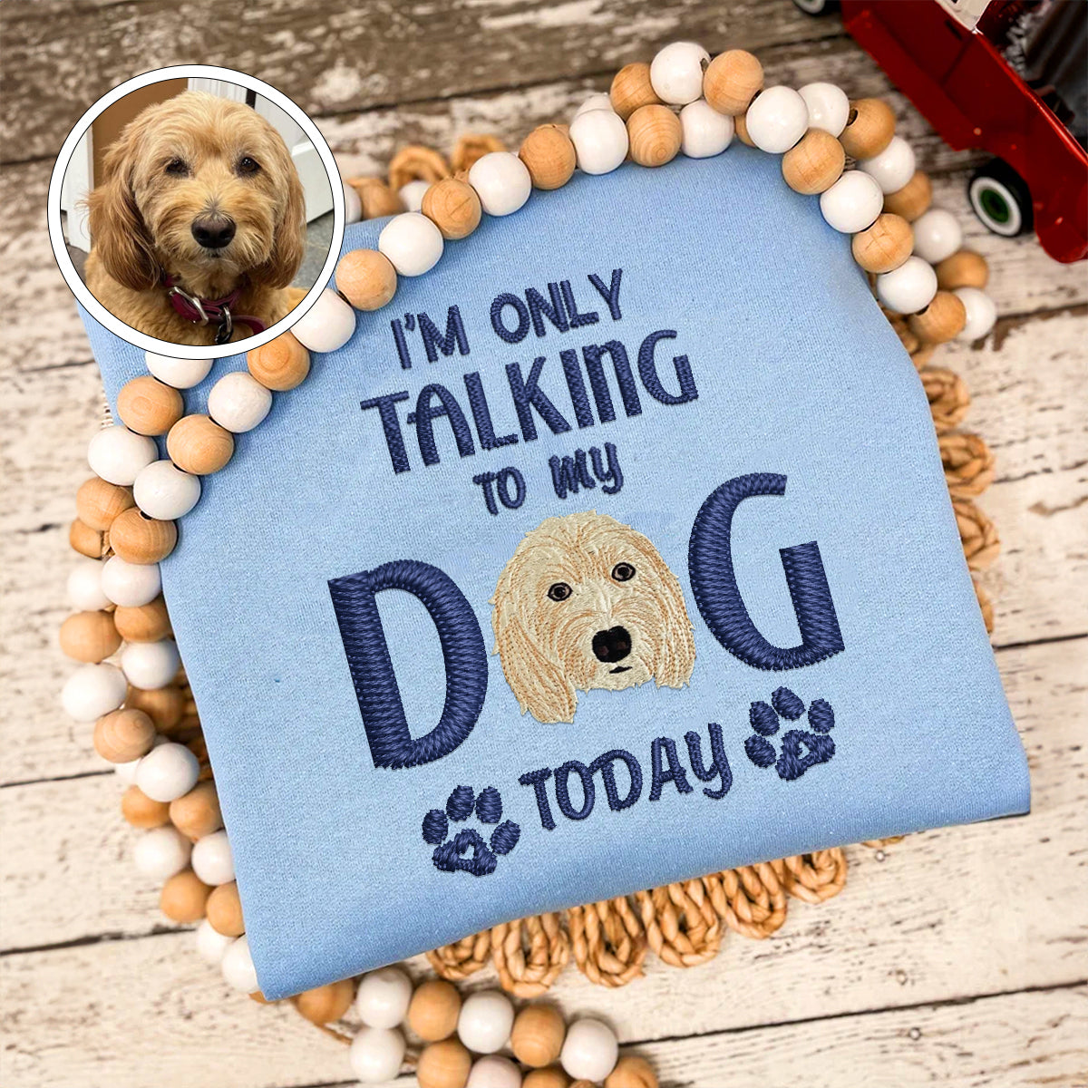 Custom Full-Color I'm Only Talking To My Dog Today Embroidered Sweatshirt