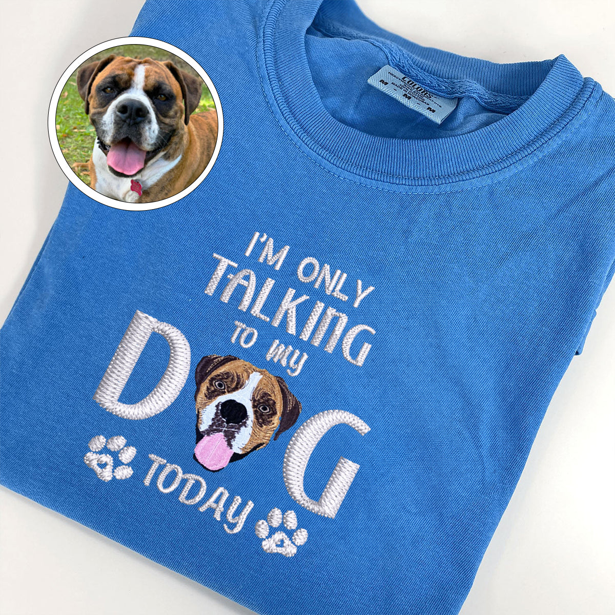 Custom Full-Color I'm Only Talking To My Dog Today Embroidered T-Shirt