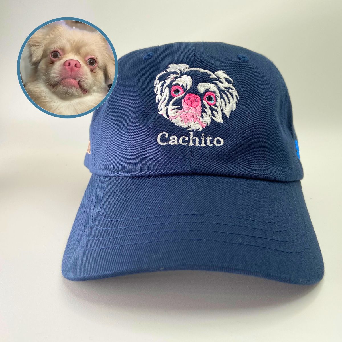 embroidered dog hat