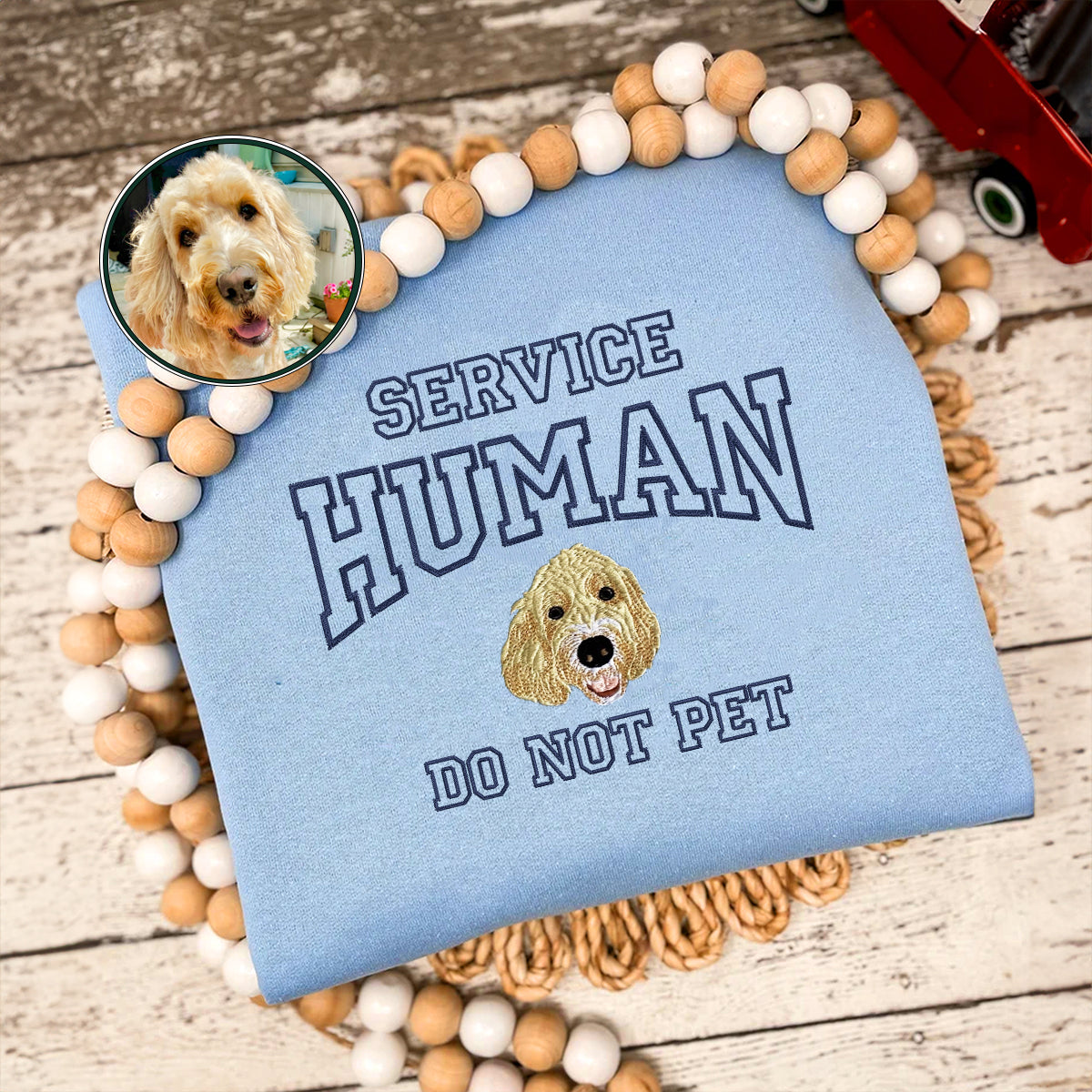 Custom Full-Color Varsity Dog Service Human Do Not Pet Embroidered Hoodie