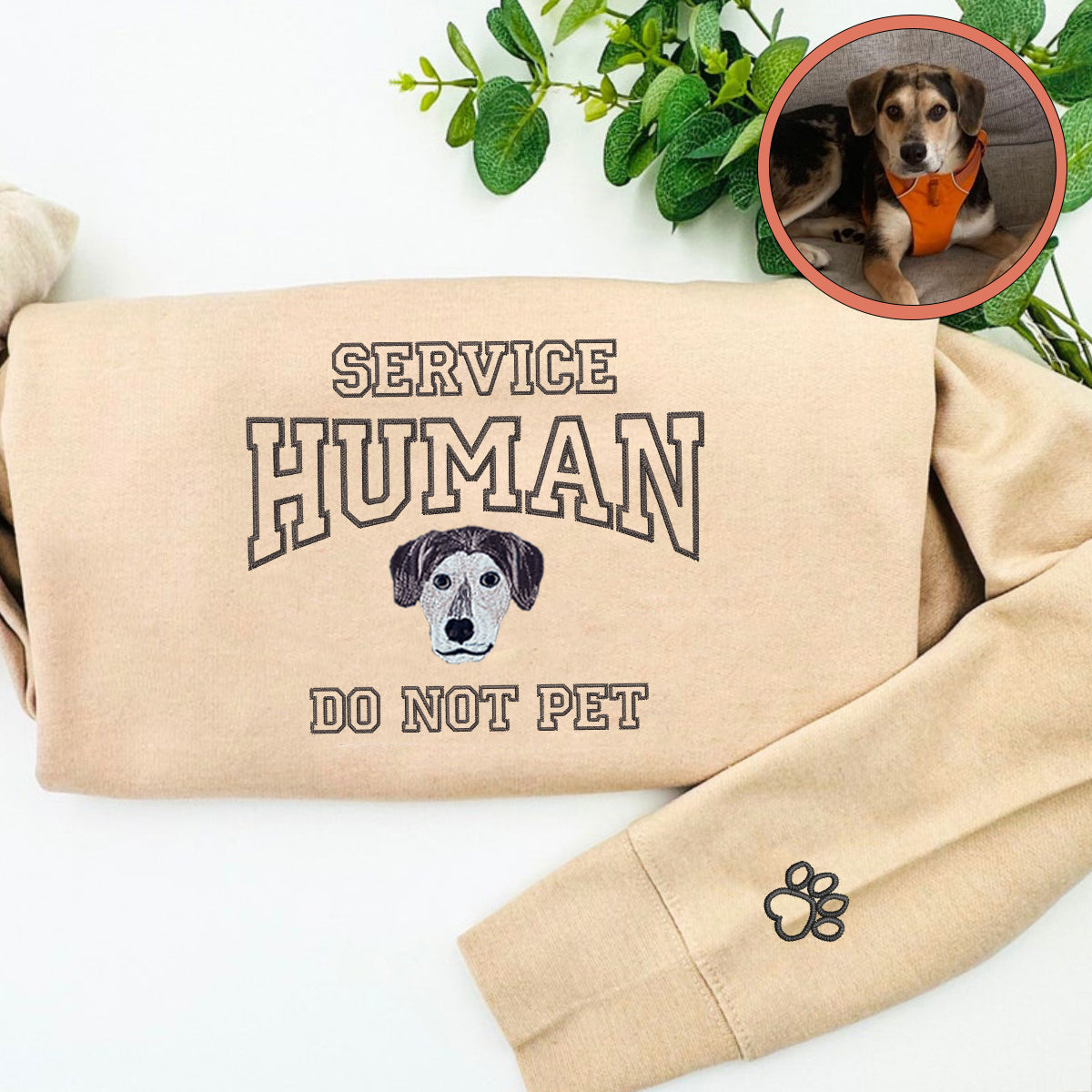 Custom Full-Color Varsity Dog Service Human Do Not Pet Embroidered Hoodie