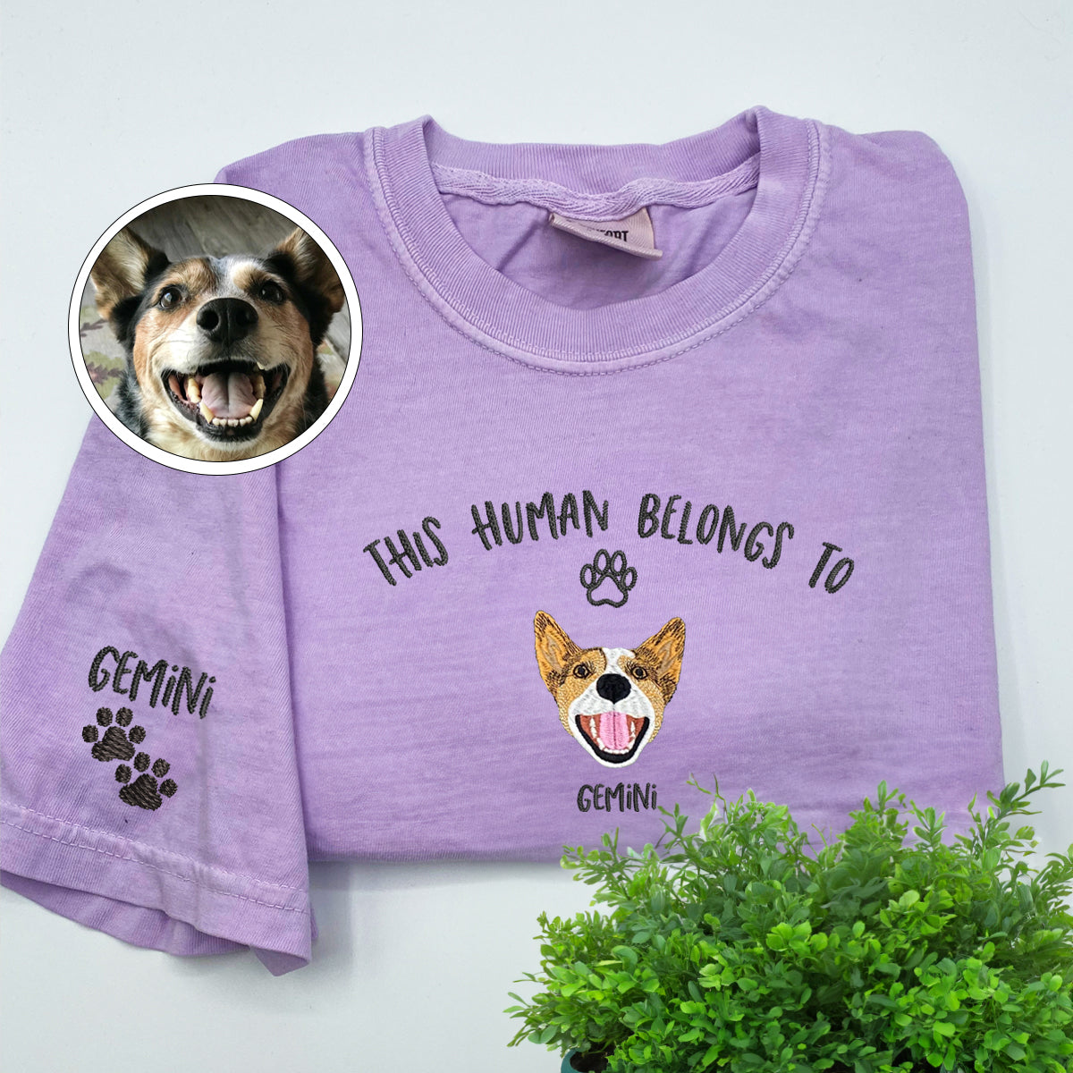 Custom Full-Color This Human Belongs To Embroidered T-Shirt